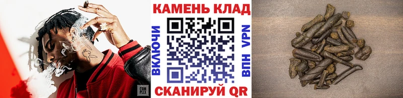 Гашиш индика сатива  Старая Русса 