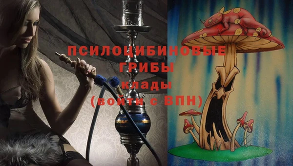 соль курить ск Алексеевка