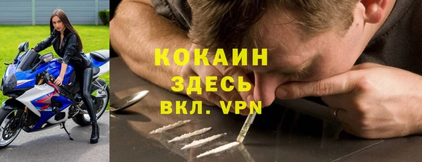 apvp Алексин